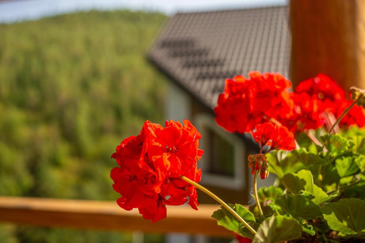 Konopka Guest House Bukowel Exterior foto
